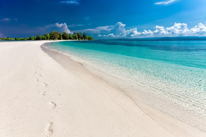Beach Reception Image